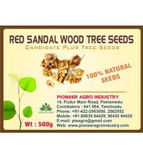 Red Sandal Wood / Lal Chandan Tree Seed 1 Kg